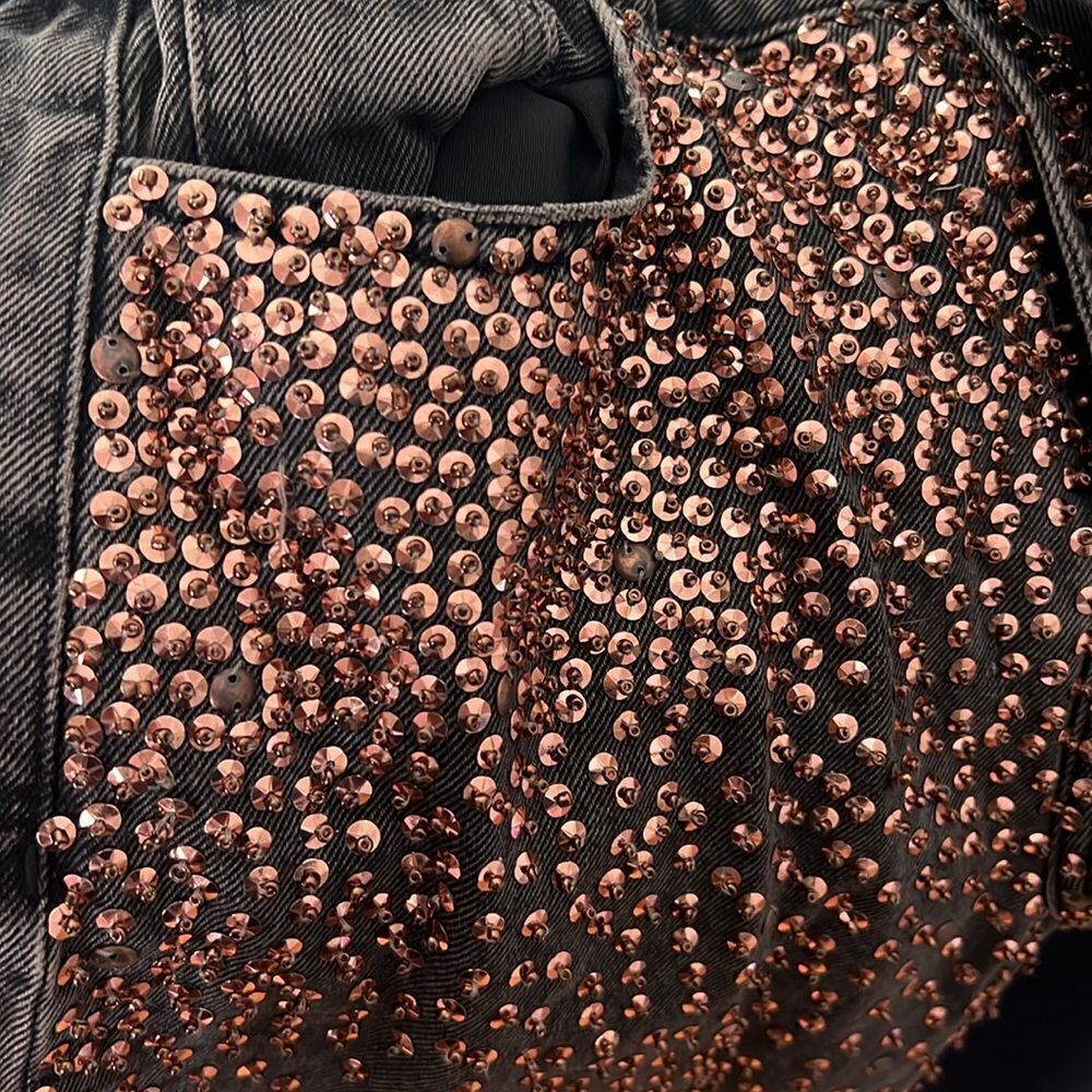 One Teaspoon x Free People Love Machine Wide Leg Embellished Jeans - Copper - Picture 12 of 14